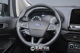 Miniatura Ford EcoSport  1.0 Ecoboost 125CV Active  grey matter  Aziendale foto 26