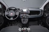 Miniatura Fiat Panda 1.0 Firefly Hybrid 70CV Rosso Passione  Aziendale foto 17