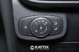 Miniatura Ford Fiesta 1.0 Ecoboost Hybrid 125CV Titanium  Magnetic Grey  Aziendale foto 27