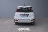 Miniatura Fiat Panda Pandina 1.0 Firefly Hybrid 70CV Bianco Gelato  Aziendale foto 32