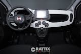 Miniatura Fiat Panda Pandina 1.0 Firefly Hybrid 70CV Bianco Gelato  Aziendale foto 32