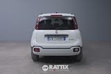 Miniatura Fiat Panda 1.0 Firefly Hybrid 70CV Cross 5p.ti Bianco  Aziendale foto 29