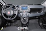 Miniatura Fiat Panda 1.0 Firefly Hybrid 70CV Cross 5p.ti Bianco  Aziendale foto 29