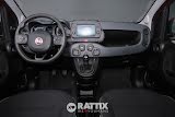 Miniatura Fiat Panda 1.0 Firefly Hybrid 70CV Cross 5p.ti Rosso Passione  Aziendale foto 33