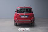Miniatura Fiat Panda 1.0 Firefly Hybrid 70CV Cross 5p.ti Rosso Passione  Aziendale foto 21