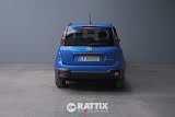 Miniatura Fiat Panda Pandina 1.0 Firefly Hybrid 70CV Cross VERDE FORESTA METALLIZZATO  Aziendale foto 33