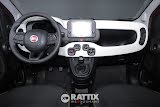 Miniatura Fiat Panda Pandina 1.0 Firefly Hybrid 70CV Cross ROSSO PASSIONE PASTELLO  Aziendale foto 33