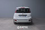 Miniatura Fiat Panda Pandina 1.0 firefly hybrid 70CV Cross Solid White  Aziendale foto 34