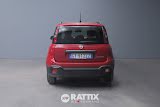Miniatura Fiat Panda Pandina 1.0 Firefly Hybrid 70CV Cross Rosso Passione Pastello  Aziendale foto 26