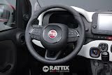Miniatura Fiat Panda Pandina 1.0 Firefly Hybrid 70CV Cross Rosso Passione Pastello  Aziendale foto 26