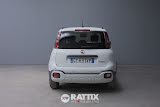 Miniatura Fiat Panda Pandina 1.0 Firefly Hybrid 70CV Cross  White solid  Aziendale foto 35