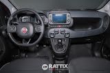 Miniatura Fiat Panda 1.0 firefly hybrid 70CV Cross Rosso Passione  Aziendale foto 29