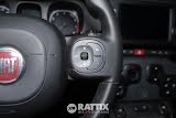 Miniatura Fiat Panda 1.0 firefly hybrid 70CV Cross Rosso Passione  Aziendale foto 29
