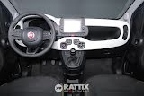Miniatura Fiat Panda Pandina 1.0 firefly hybrid 70CV Cross Blu Metallizzato  Aziendale foto 35