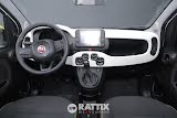 Miniatura Fiat Panda Pandina 1.0 Firefly Hybrid 70CV Cross White solid  Aziendale foto 25