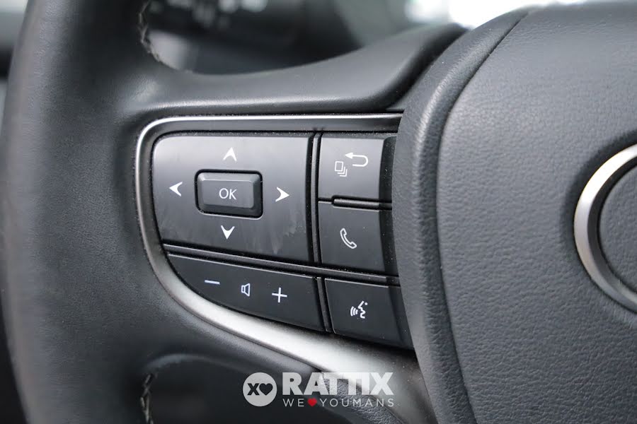 Lexus UX 250h 2.0 Hybrid Executive CVT Nero  Aziendale foto 10