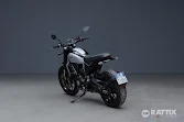 DUCATI Scrambler 800 Icon my23