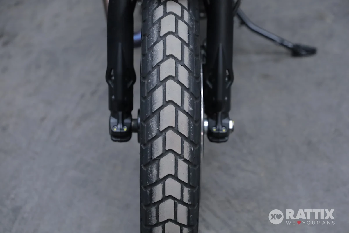 DUCATI Scrambler 800 Icon my23