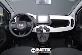 Miniatura Fiat Panda Pandina 1.0 Firefly Hybrid 70CV Cross White Solid Paint  Aziendale foto 21