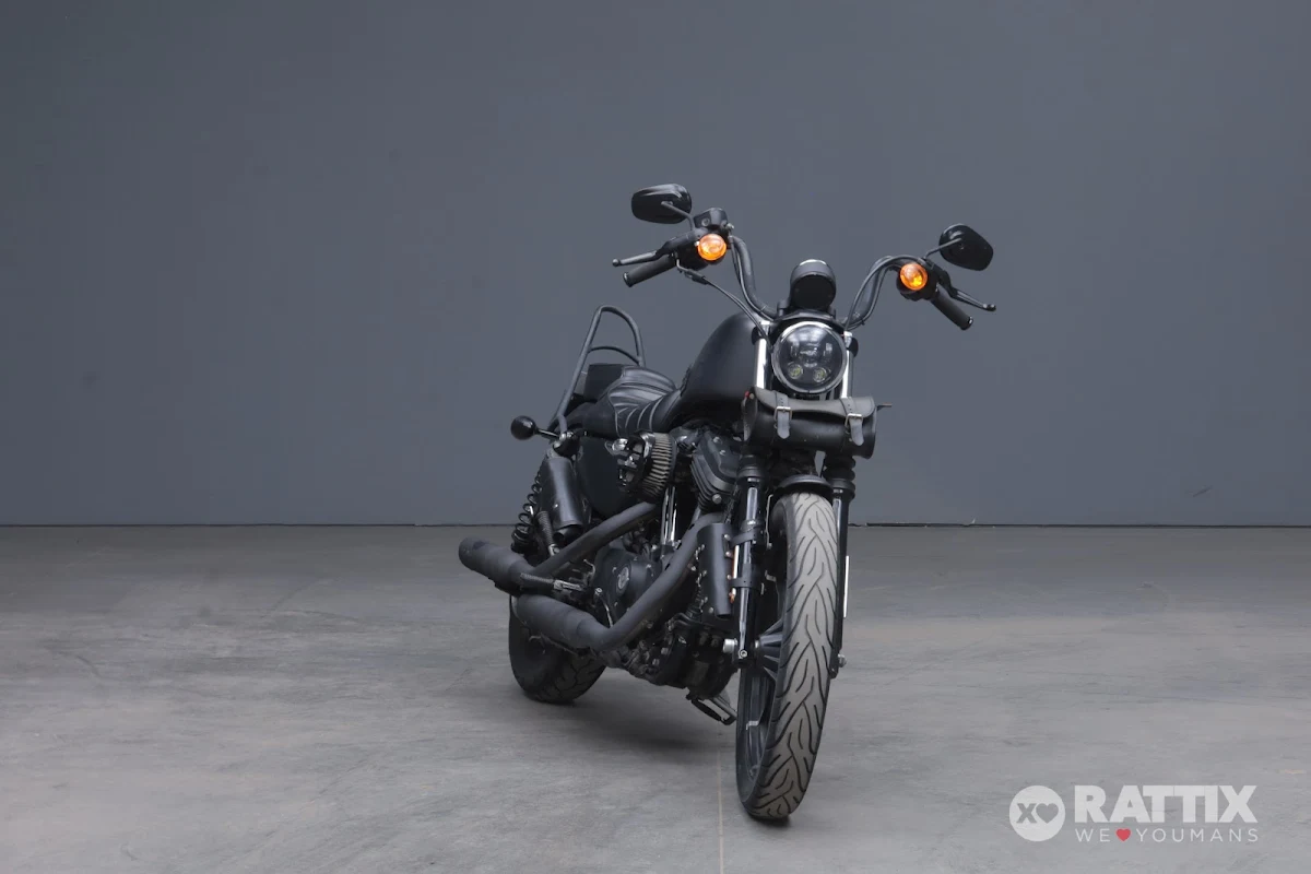 HARLEY DAVIDSON 883 Iron my17