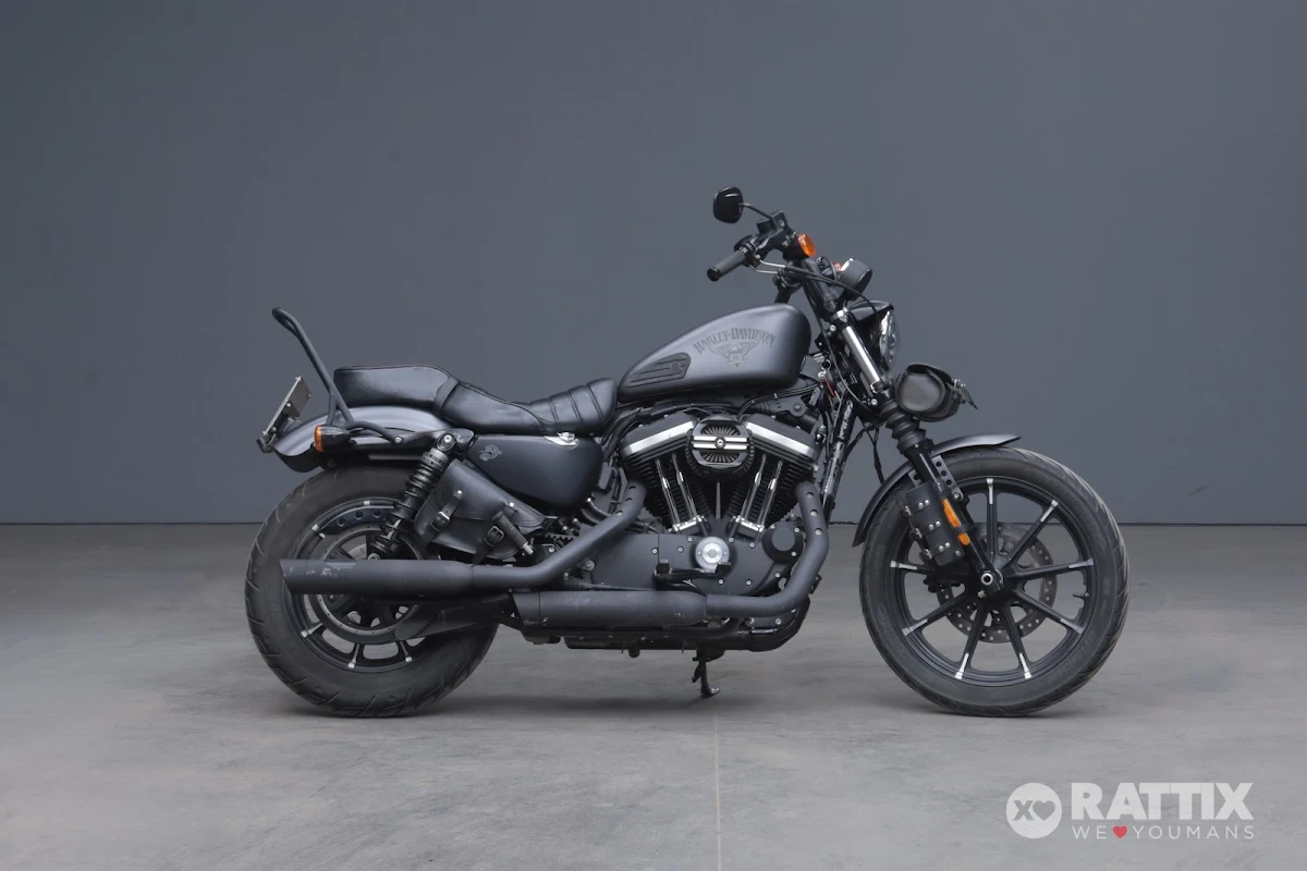 HARLEY DAVIDSON 883 Iron my17