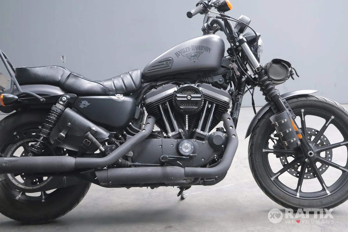 HARLEY DAVIDSON 883 Iron my17
