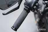 HARLEY DAVIDSON 883 Iron my17