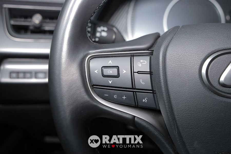 Lexus UX 250h 2.0 HEV Design CVT Sonic Platinum Tetto nero  Aziendale foto 11