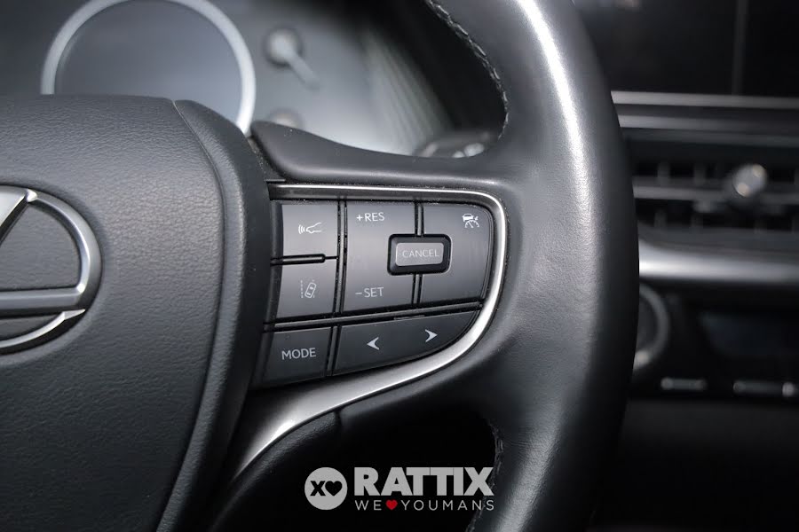 Lexus UX 250h 2.0 HEV Design CVT Sonic Platinum Tetto nero  Aziendale foto 12