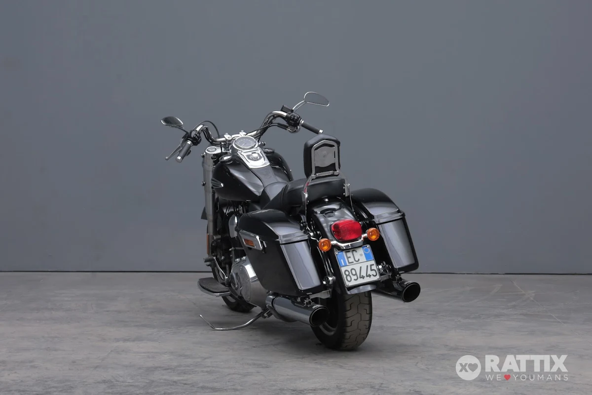 HARLEY DAVIDSON Dyna 1690 Switchback Switchback