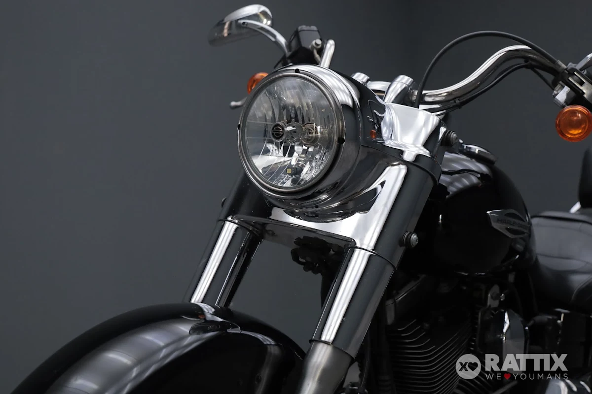HARLEY DAVIDSON Dyna 1690 Switchback Switchback