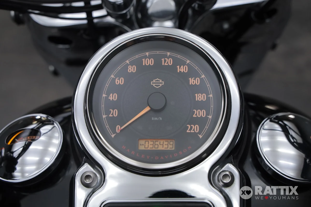 HARLEY DAVIDSON Dyna 1690 Switchback Switchback