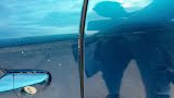 Miniatura Peugeot 2008 1.2 Puretech 100CV Allure  Blu Obsession  Aziendale foto danni 21