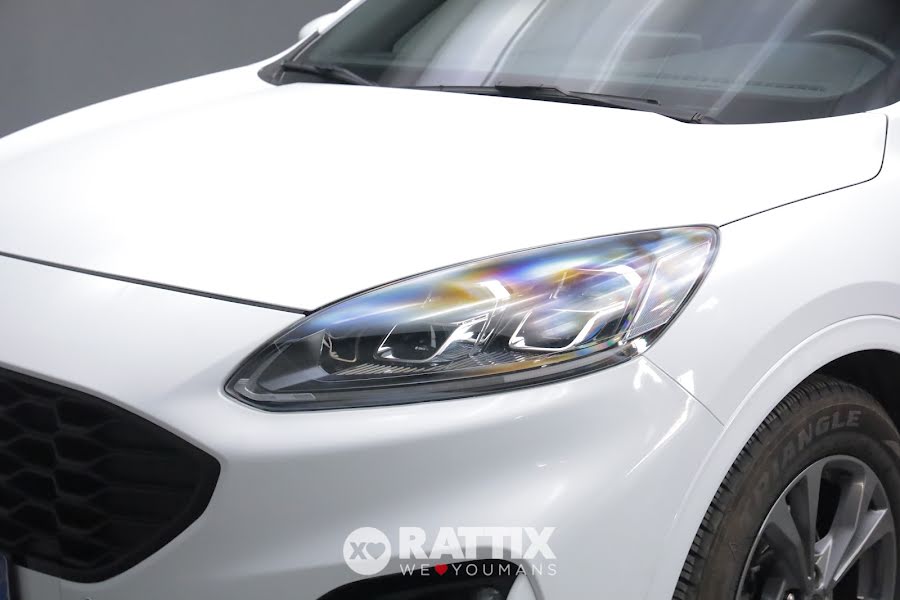 Ford Kuga 2.0 ecoblue 120CV ST-Line X auto Frozen White  Aziendale foto 3