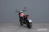 DUCATI Scrambler 800 Icon my23