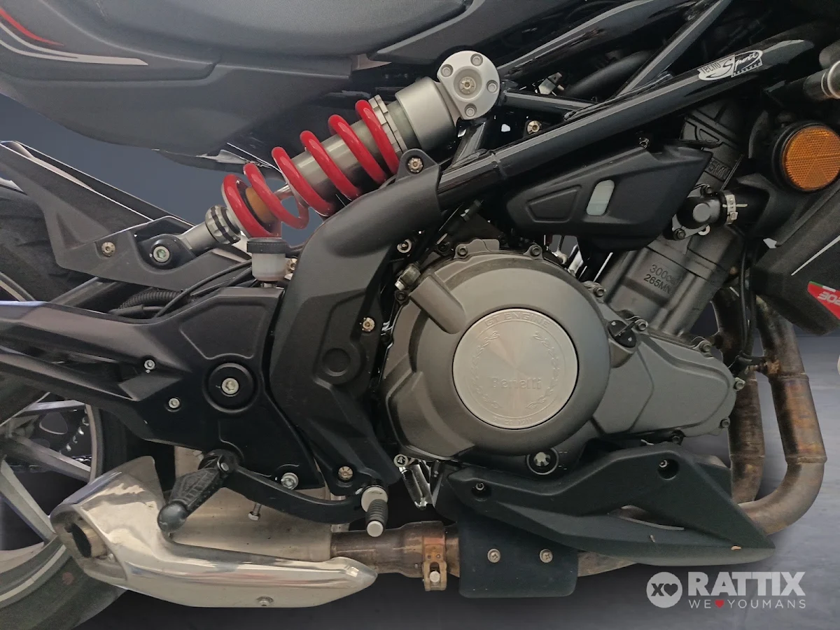 BENELLI BN 302 abs