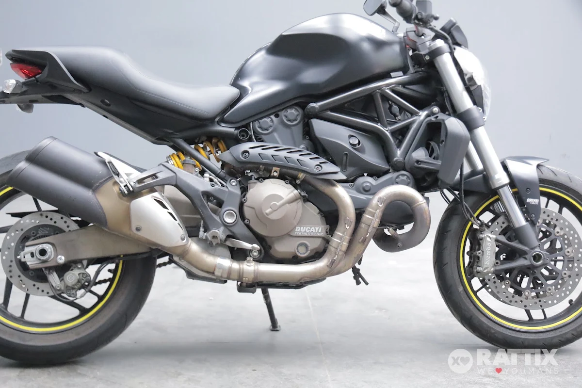 DUCATI Monster 821 Dark my14