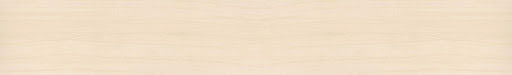 HD 271733 ABS Edge Birch Mainau Pearl