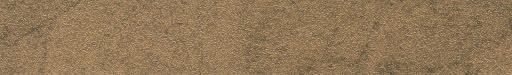 HD 297798 ABS Edge Bronze Patina Pearl