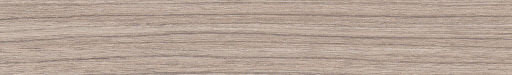 HD 254059 Chant ABS Elm Lionga graine Softmatt