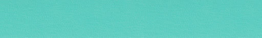 HU 160876 ABS Kantenband Groen Turquoise Zacht Parel 107